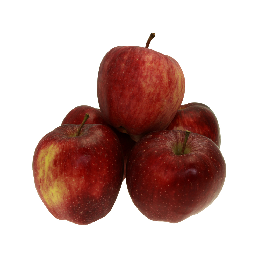 Pomme-Red-Chief redchief